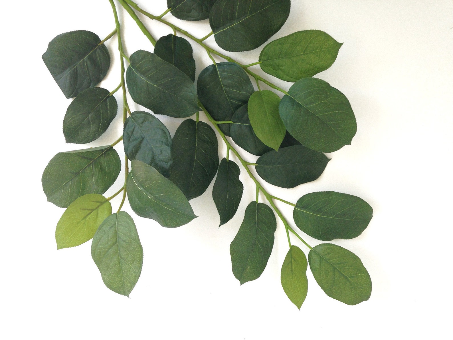 Lemon Leaf Spray Artificial Lemon Leaf Bouquet Filler Etsy