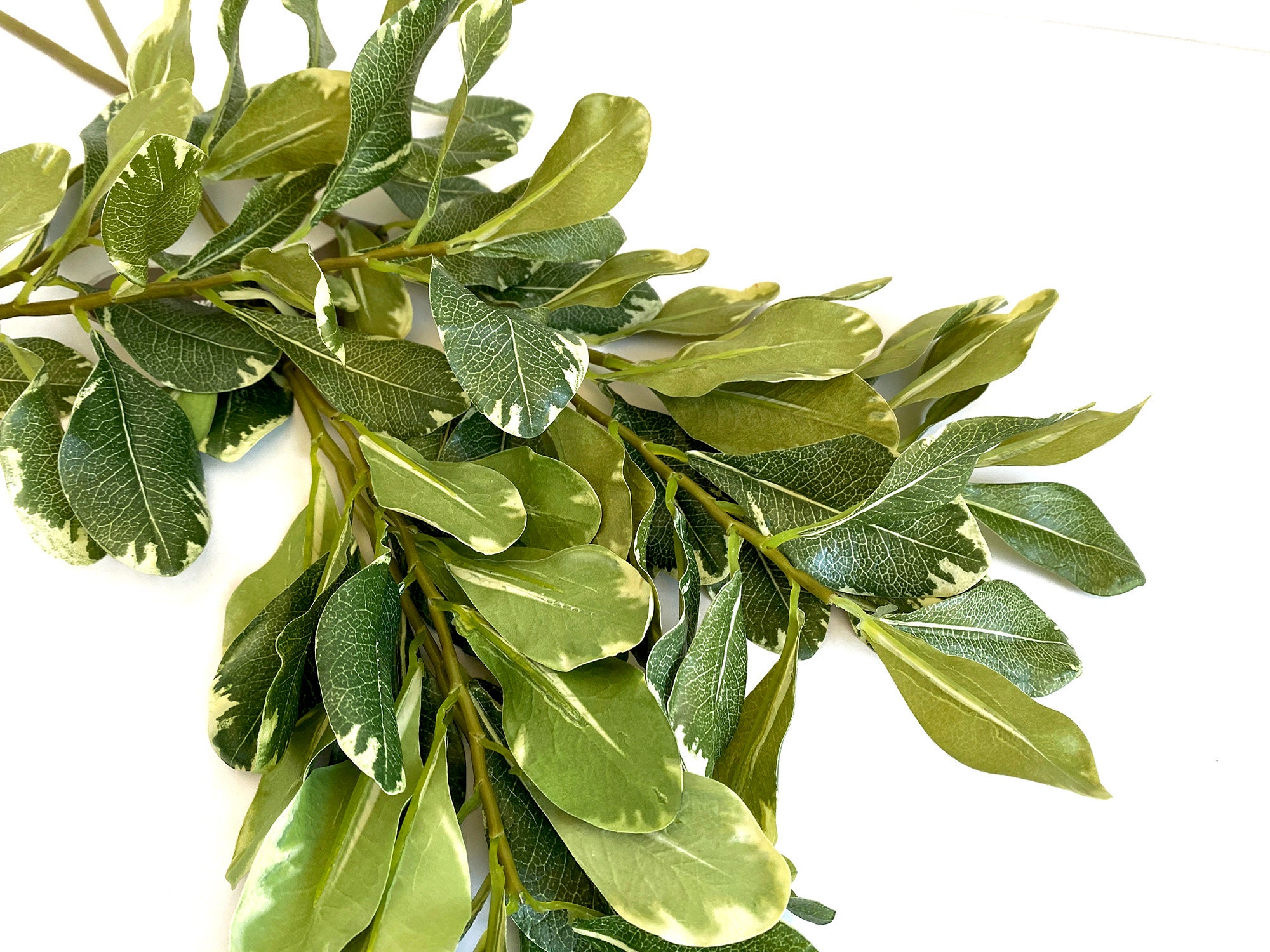 Artificial Pittosporum Leaves, Faux Greenery