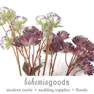 On Sale: Wildflowers, burgundy, Nigella, artificial wildflowers, earth tone flowers, rusty wildflowers