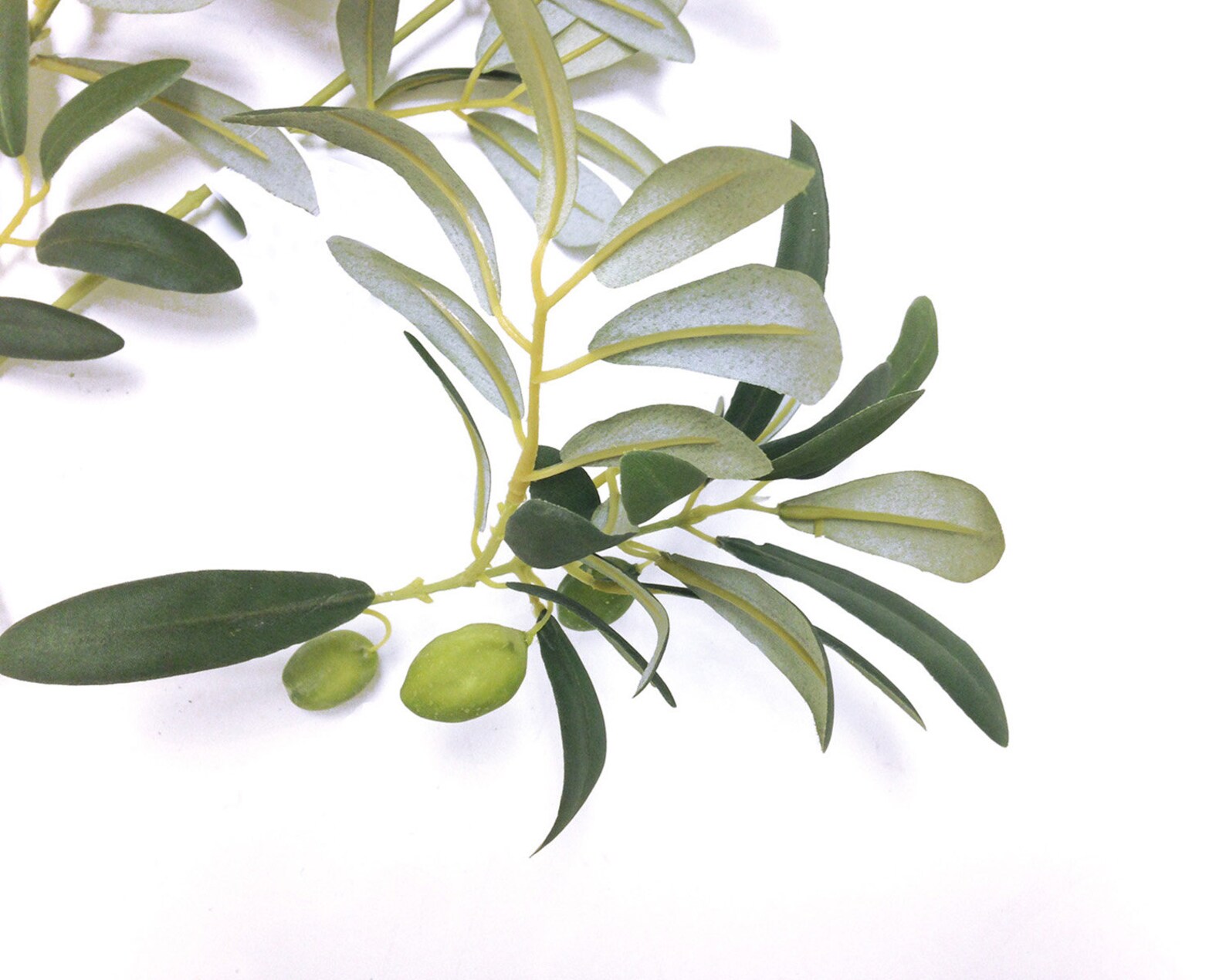 Olive stem olive branch olive branch decor winery decor Etsy