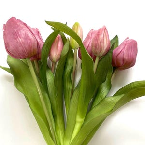 May include: A bouquet of pink tulips with green stems and leaves.
