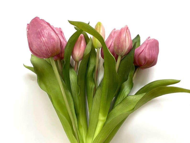May include: A bouquet of pink tulips with green stems and leaves.