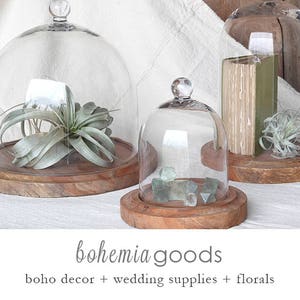 Glass Display Cloche Dome: Garden & Table Decor