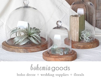 Glass Display Cloche Dome: Garden & Table Decor