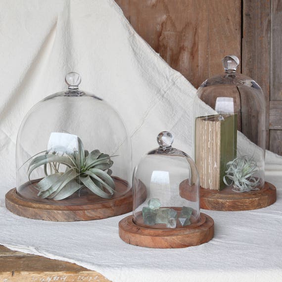 Glass Display Cloche Dome: Garden & Table Decor