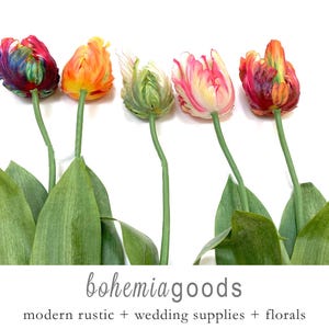 May include: Five colorful tulip flowers with green leaves. The tulips are in shades of red, orange, yellow, pink, and green. The flowers are arranged in a row, with the stems pointing to the right. The background is white. The text "bohemia goods" is written in black below the flowers. The text "modern rustic + wedding supplies + florals" is written in black below the text "bohemia goods".