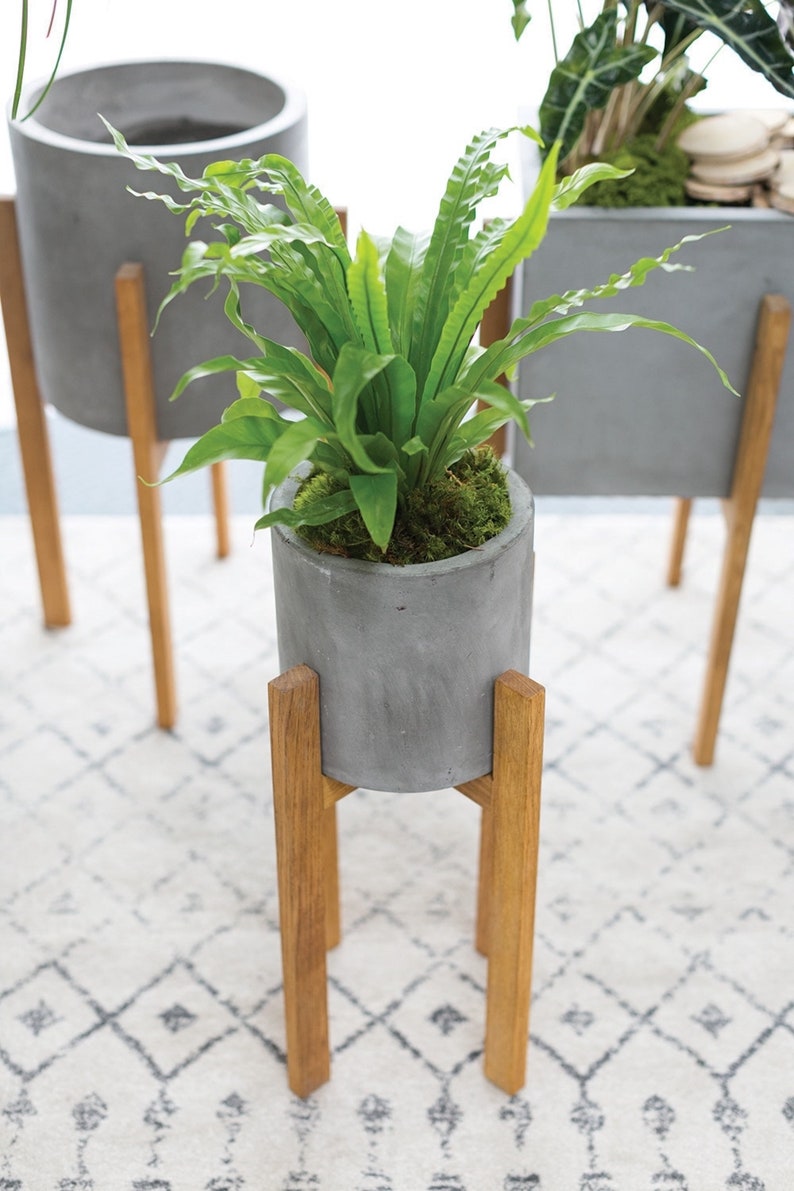 Planter Stand Concrete Planter Stand Indoor Planter Indoor Etsy