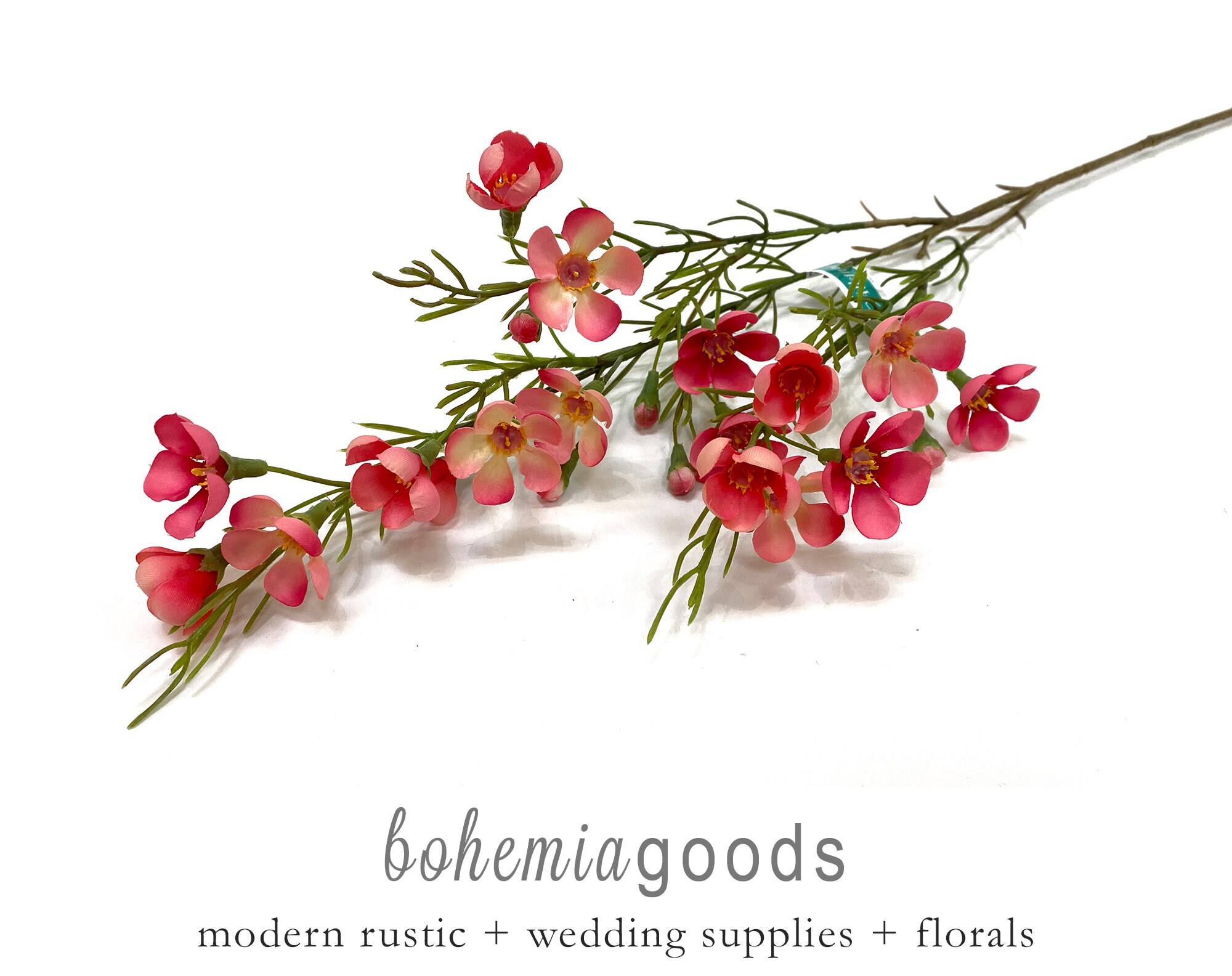 Wax Flowers Coral Small Blooming Branch Wax Flower Pink Etsy