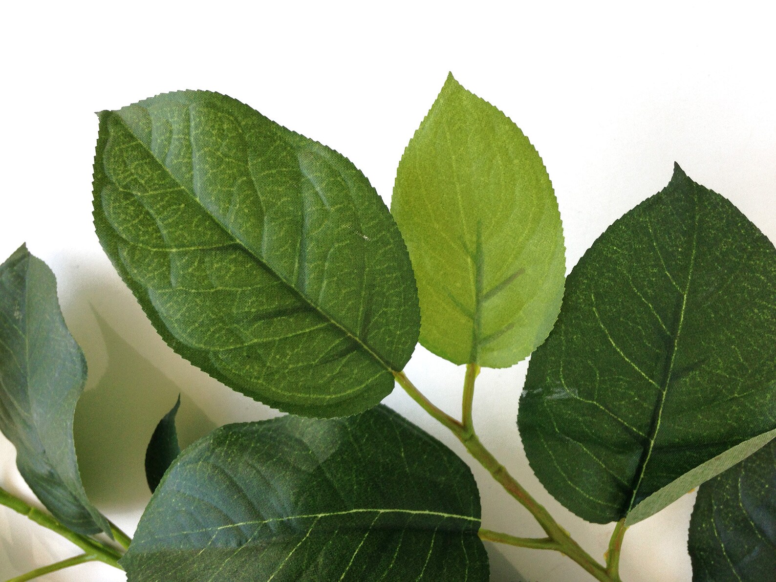 Lemon Leaf Spray Artificial Lemon Leaf Bouquet Filler Etsy