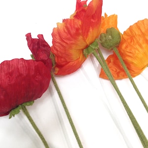 K&ouml;nnte beinhalten: Eine Sammlung lebendiger, farbenfroher Mohnblumen vor wei&szlig;em Hintergrund. Die Bl&uuml;ten zeigen eine Reihe von Farbt&ouml;nen, von tiefem Rot bis zu hellem Orange. Die Stiele sind gr&uuml;n und die Bl&uuml;tenbl&auml;tter haben ein zartes, strukturiertes Aussehen.