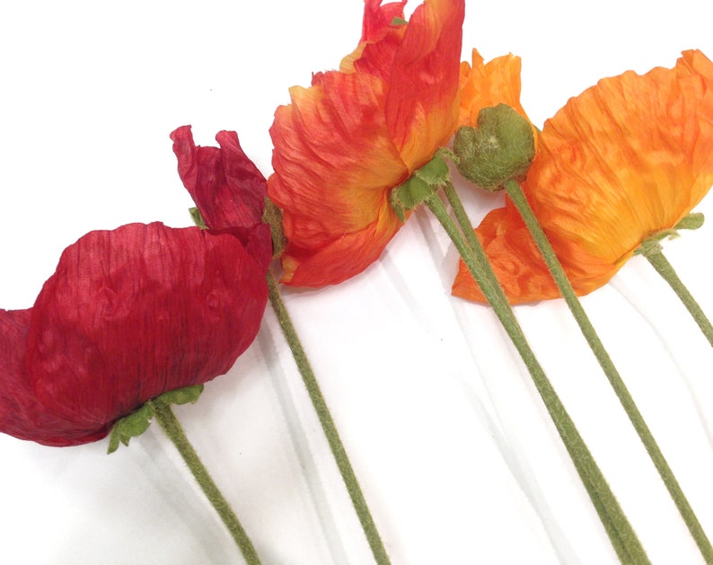 K&ouml;nnte beinhalten: Eine Sammlung lebendiger, farbenfroher Mohnblumen vor wei&szlig;em Hintergrund. Die Bl&uuml;ten zeigen eine Reihe von Farbt&ouml;nen, von tiefem Rot bis zu hellem Orange. Die Stiele sind gr&uuml;n und die Bl&uuml;tenbl&auml;tter haben ein zartes, strukturiertes Aussehen.