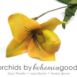 Slipper orchid, yellow, orchid arrangement