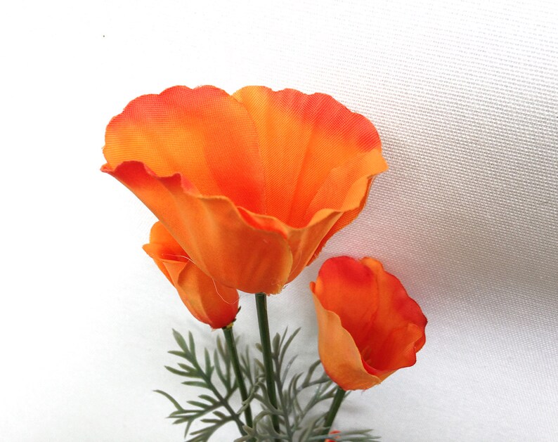 Orange California Poppy Flowers Orange Poppies Orange Etsy