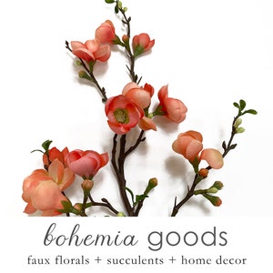 May include: A branch of peach-colored artificial flowers with green leaves. The flowers are arranged in a cluster and have a delicate, feminine appearance. The text "bohemia goods" is written below the flowers, along with the tagline "faux florals + succulents + home decor".
