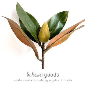 Premium Magnolia bud, faux, large stem, Magnolia foliage