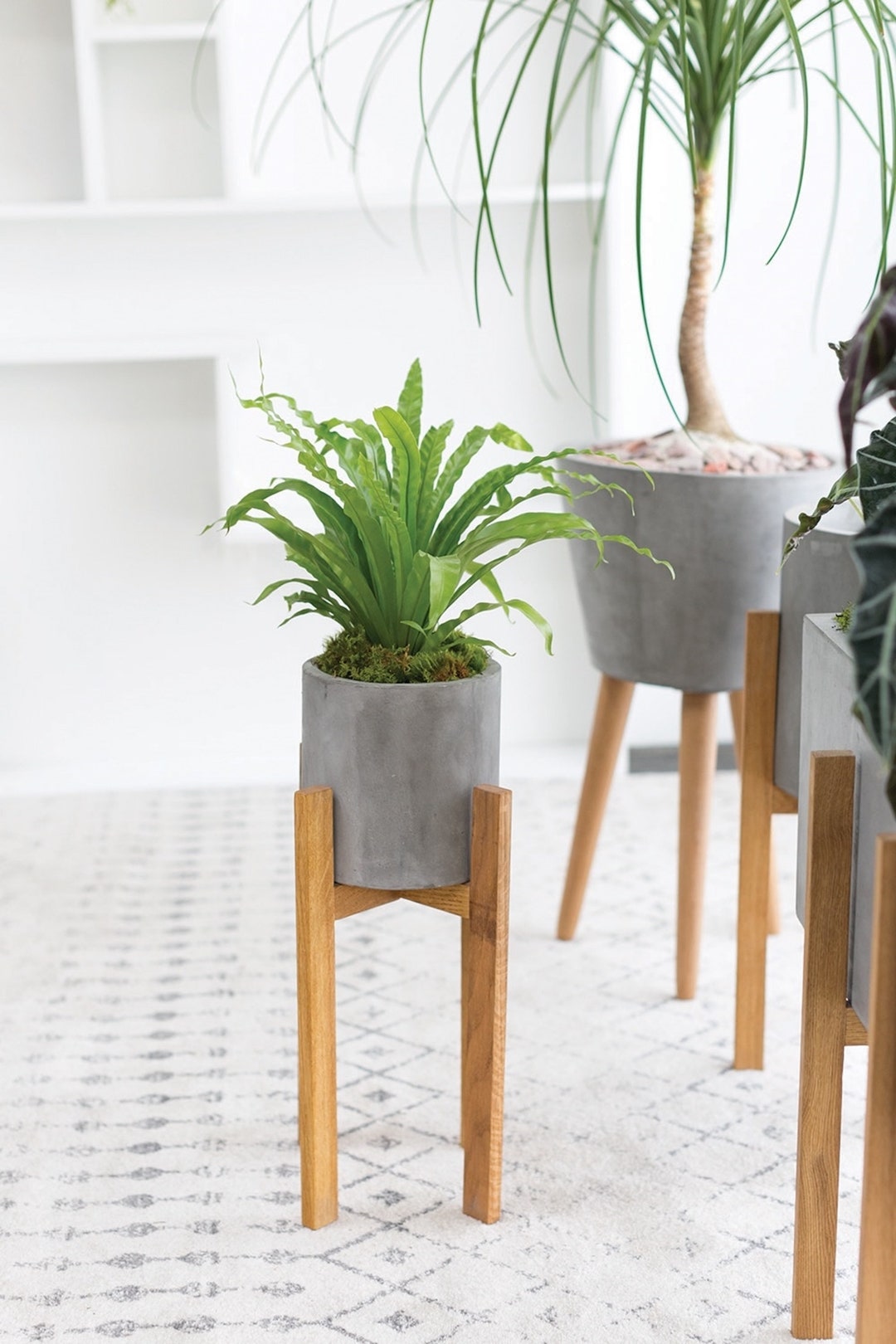 Planter Stand, Concrete Planter Stand, Indoor Planter, Indoor Plant
