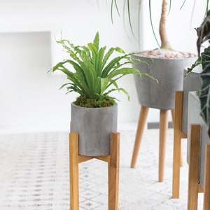 Planter Stand, Concrete Planter Stand, Indoor Planter, Indoor Plant Stand, Contemporary Plant Stand, Plant Stand