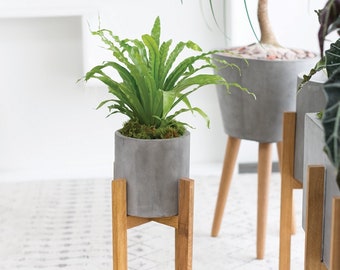 Planter Stand, Concrete Planter Stand, Indoor Planter, Indoor Plant Stand, Contemporary Plant Stand, Plant Stand