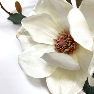 Blooming Magnolia Branch, blooming stem, tall, Magnolia flowers image 3