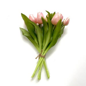 May include: A bouquet of pink tulips with green stems tied together with twine.