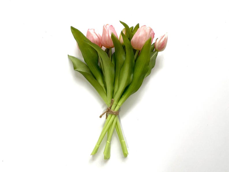 May include: A bouquet of pink tulips with green stems tied together with twine.
