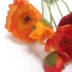 K&ouml;nnte beinhalten: Nahaufnahme von leuchtend orangefarbenen und roten k&uuml;nstlichen Mohnblumen mit gr&uuml;nen Stielen und Knospen. Die Bl&uuml;tenbl&auml;tter haben ein zartes, strukturiertes Aussehen. Die Blumen sind vor einem wei&szlig;en Hintergrund angeordnet und erzeugen einen auff&auml;lligen Kontrast.