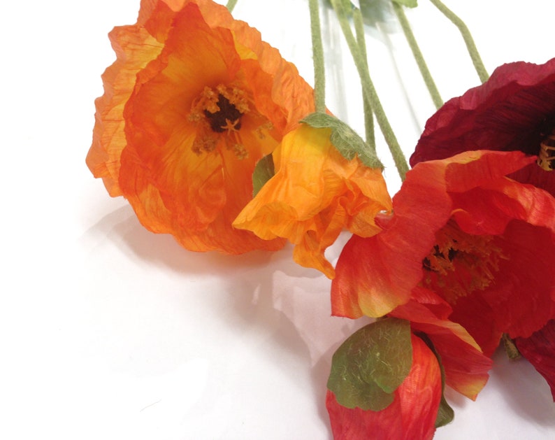 K&ouml;nnte beinhalten: Nahaufnahme von leuchtend orangefarbenen und roten k&uuml;nstlichen Mohnblumen mit gr&uuml;nen Stielen und Knospen. Die Bl&uuml;tenbl&auml;tter haben ein zartes, strukturiertes Aussehen. Die Blumen sind vor einem wei&szlig;en Hintergrund angeordnet und erzeugen einen auff&auml;lligen Kontrast.