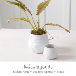 May include: Two white ceramic planters, one large and one small, with a textured, ridged design. The larger planter holds a green plant with long, wavy leaves. The text "bohemiagoods" and "modern rustic + wedding supplies + florals" is at the bottom.