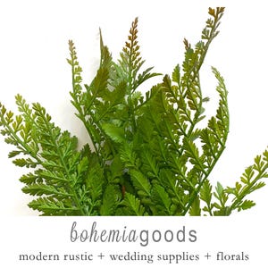 Woodland fern, faux fern, artificial plant, Maidenhair fern, greenery, indoor plant