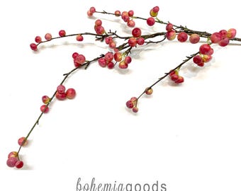 May include: A decorative branch featuring numerous small, round, pink and red berries attached to thin, dark brown stems. The text "bohemia goods" and "modern rustic + wedding supplies + florals" is printed in grey at the bottom of the image.