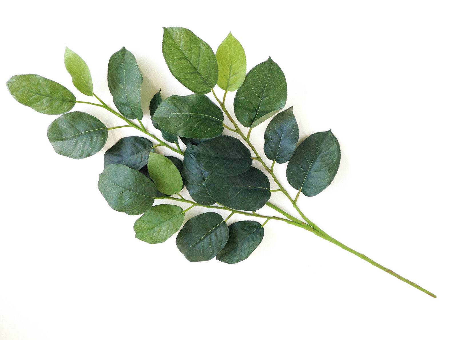 Lemon Leaf Spray Artificial Lemon Leaf Bouquet Filler Etsy