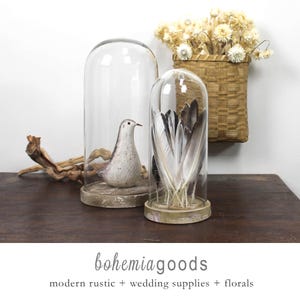 Glass cloche with distressed wood base, dome, terrarium, display
