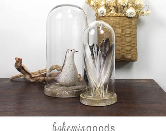 May include: Two glass cloches with wooden bases. One cloche contains a white ceramic bird figurine. The other cloche contains a collection of white and gray feathers.