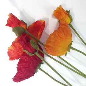 X-Large poppy flowers, 3 colors, Shirley poppies, red poppy, orange poppy image 10