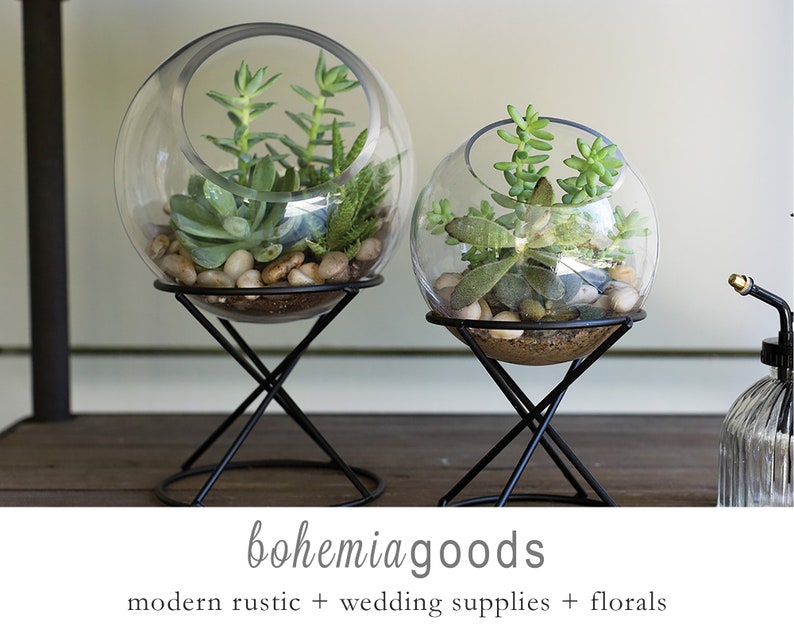 Globe glass terrarium, indoor planters, terrarium centerpiece, plant stand, succulent planter, modern planter, glass on stand image 1