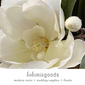 Premium X-Large Magnolia flower, with buds, Premium quality, Magnolia branch