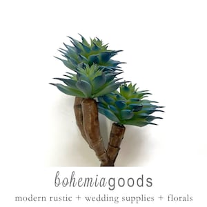 May include: Artificial succulent plant with blue-green leaves and brown stems. The plant is arranged in a cluster of three succulents.