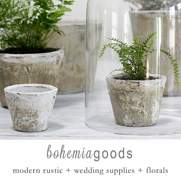 Mossy white pots, planter pots, moss decor, antiqued planters, small planters, windowsill planters, potting shed, greenery decor, green pots
