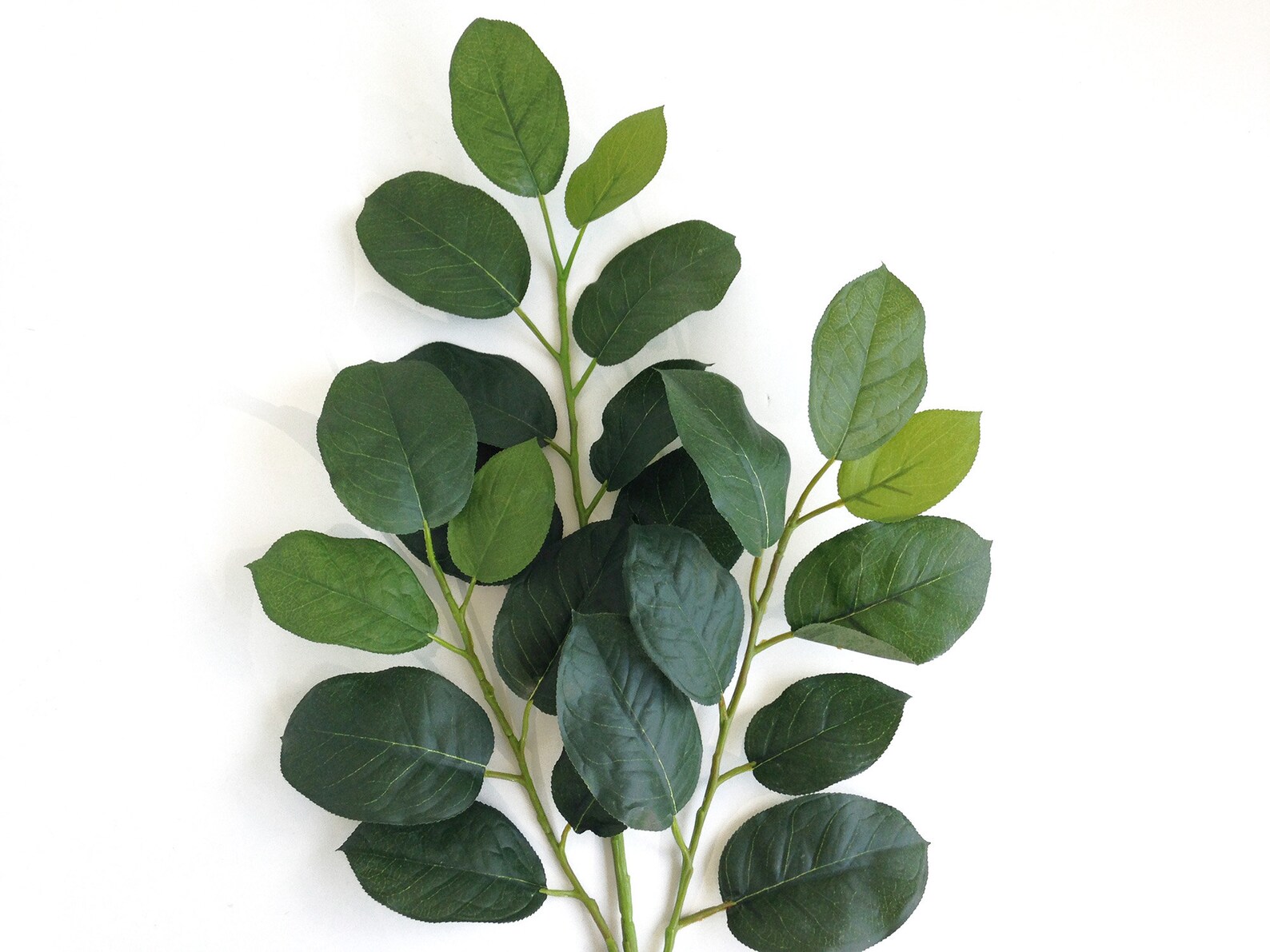 Lemon Leaf Spray Artificial Lemon Leaf Bouquet Filler Etsy