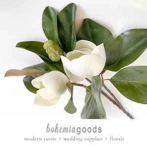 Large Sweet Bay Magnolia branch, with bud, faux Magnolia