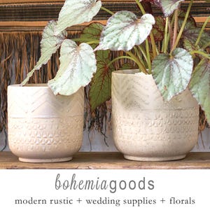 May include: Two white ceramic planters with a geometric pattern, one with a leafy green plant inside. The planters are on a wooden surface with a brown woven background.
