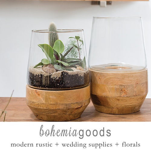 Tabletop Glass Terrarium Indoor Planter Terrarium Etsy