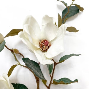 Blooming Magnolia Branch, blooming stem, tall, Magnolia flowers image 2