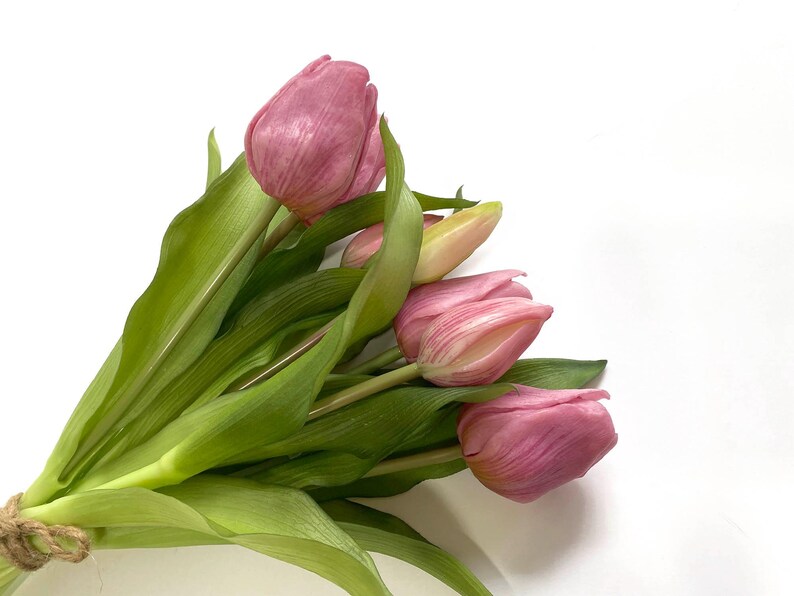 May include: A bouquet of pink tulips with green stems and leaves.