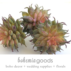 May include: Three faux succulent plants in shades of green, yellow, and pink. The plants are arranged in a cluster on a white background.