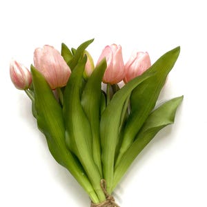 May include: A bouquet of pink tulips with green leaves tied together with twine.