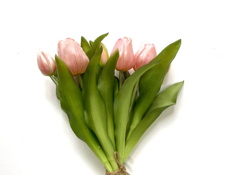 May include: A bouquet of pink tulips with green leaves tied together with twine.