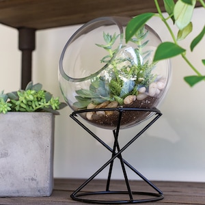 Globe glass terrarium, indoor planters, terrarium centerpiece, plant stand, succulent planter, modern planter, glass on stand image 4