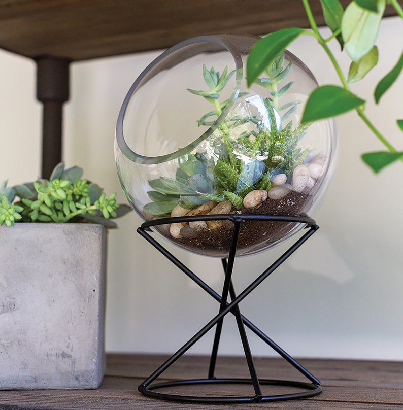 Globe glass terrarium, indoor planters, terrarium centerpiece, plant stand, succulent planter, modern planter, glass on stand image 4