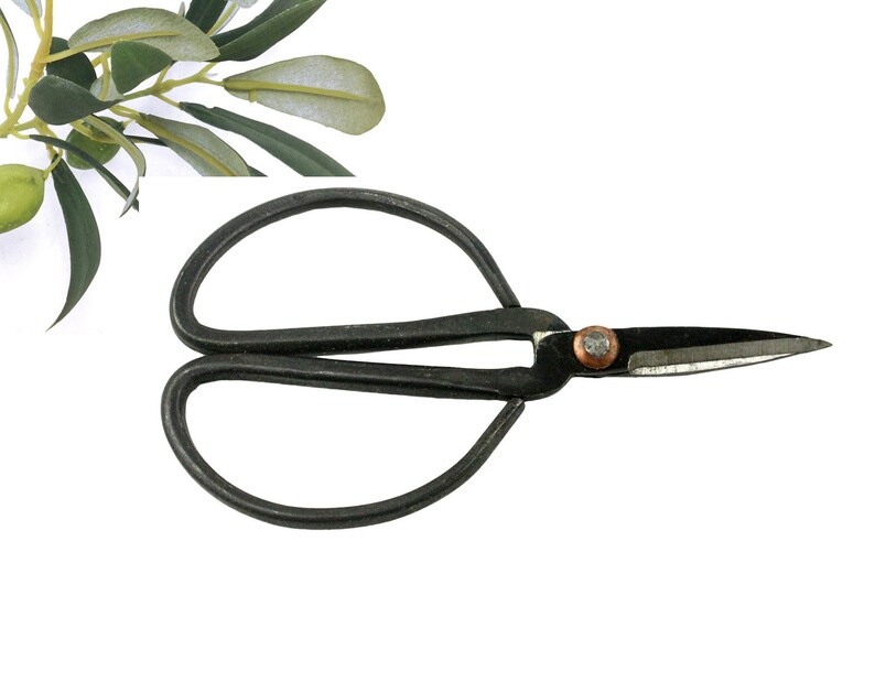 Bonsai bonsai scissors plant scissors plant pruning shears Etsy